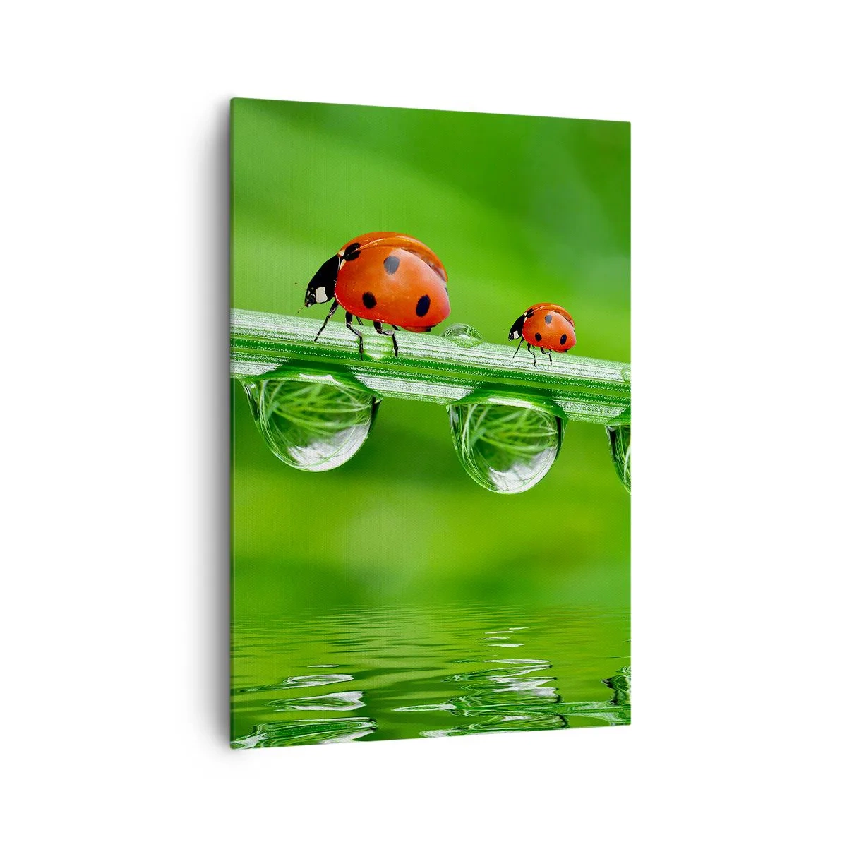 Obraz na plátně - Na cestách celé léto - 70x100 cm