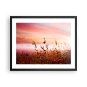 Plakát v černém rámu - Draci, pampelišky a vítr - 50x40 cm
