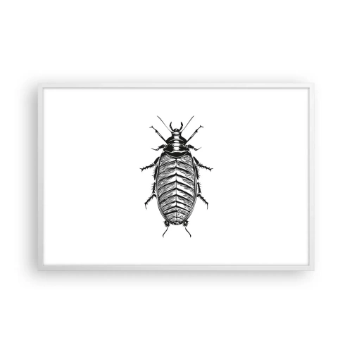 Plakát v bílém rámu - Vzorový exemplář! - 91x61 cm