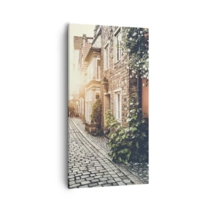 Obraz na plátně - Růžová ulička v růžové září - 55x100 cm