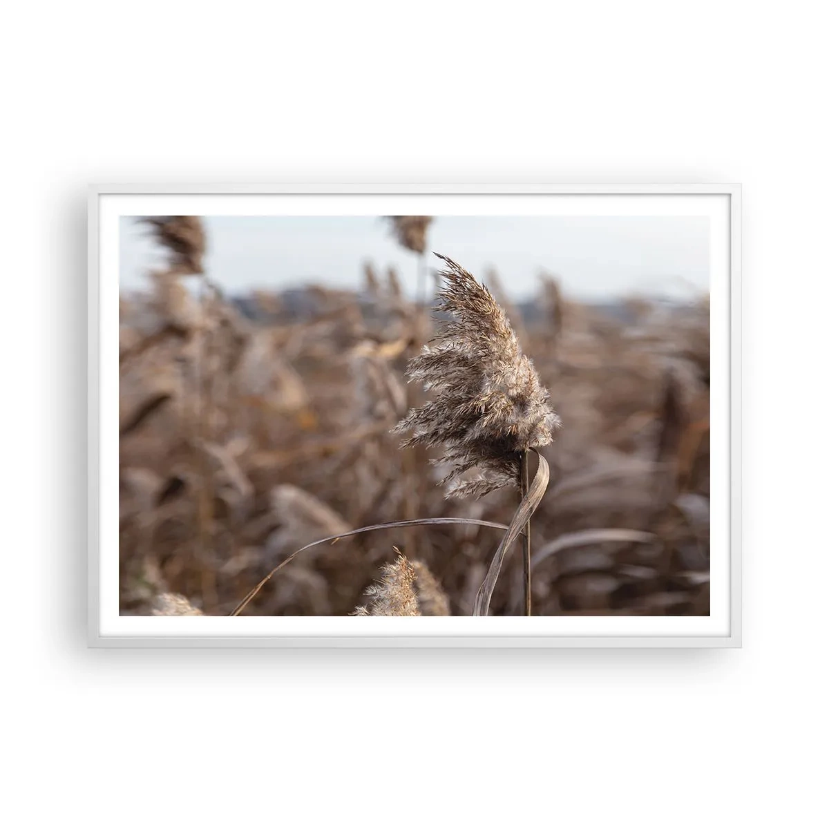 Plakát v bílém rámu - Čas odletět s větrem - 100x70 cm