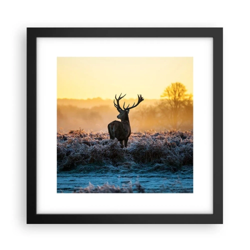 Plakát v černém rámu - Korunován na svém panství - 30x30 cm