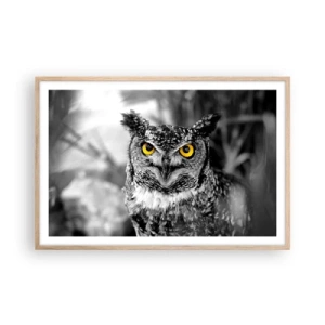 Plakát v rámu světlý dub - Nic se neschová - 91x61 cm