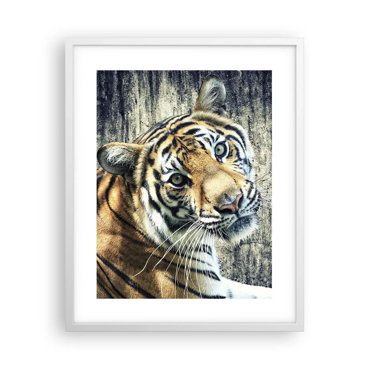 Plakát v bílém rámu - Portrét v pramenech světla - 40x50 cm