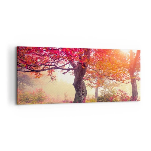 Obraz na plátně - Šílenství rozkvětu - 100x40 cm