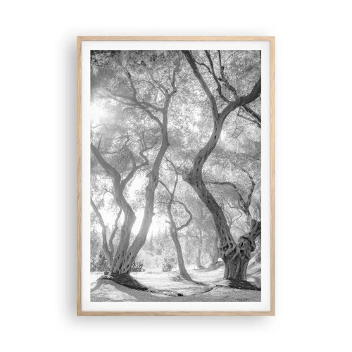 Plakát v rámu světlý dub - V olivovém háji - 70x100 cm