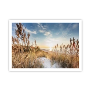 Plakát - Severní pláž - 100x70 cm