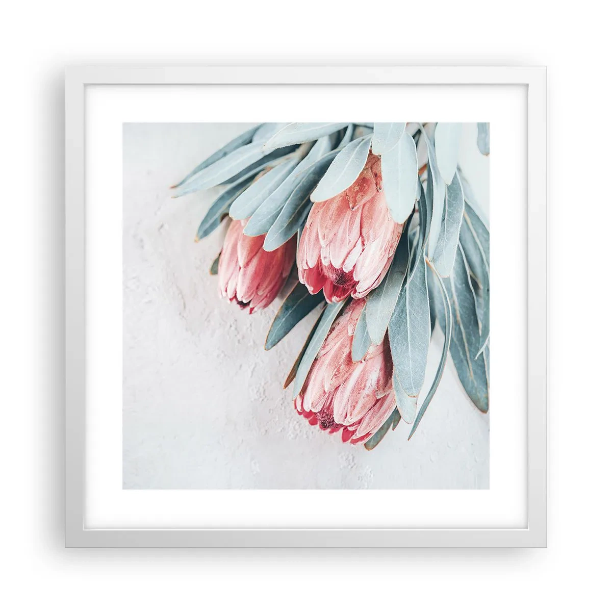 Plakát v bílém rámu - Zahanbené svou vlastní krásou - 40x40 cm