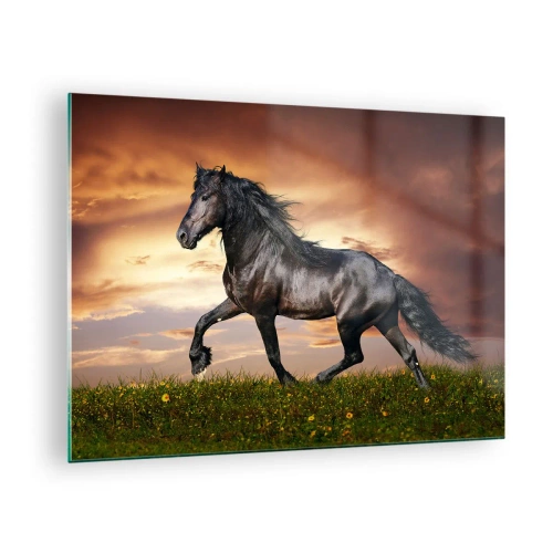 Obraz na skle - Černý kůň cválající proti zapadajícímu slunci - 70x50cm - Černý kníže - Moderní nástěnná dekorace do obývacího pokoje a ložnice ARTTOR