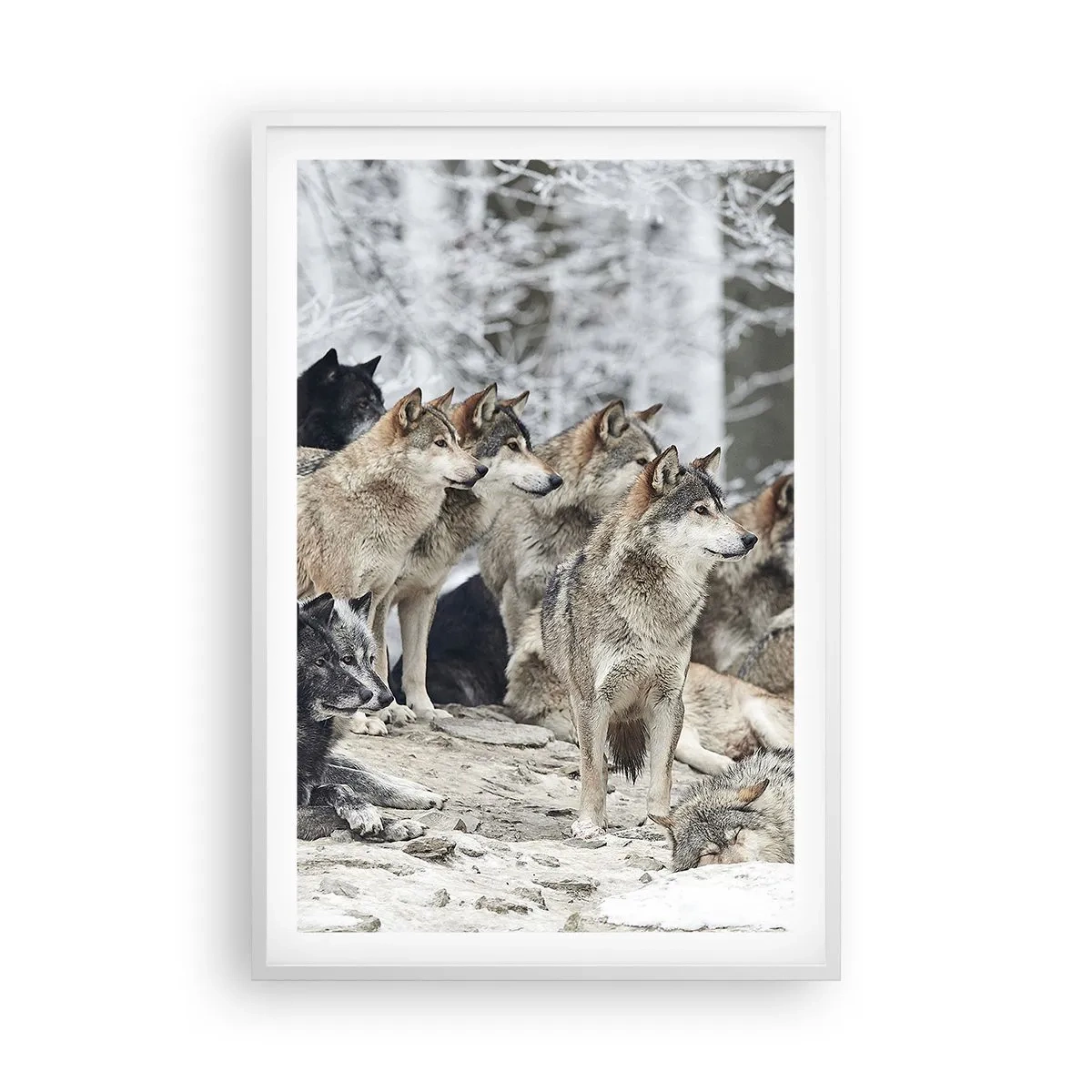 Plakát v bílém rámu - Rodina a přátelé - 61x91 cm