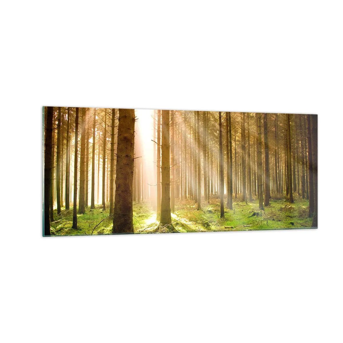 Obraz na skle - Brzy se objeví elfové - 100x40 cm