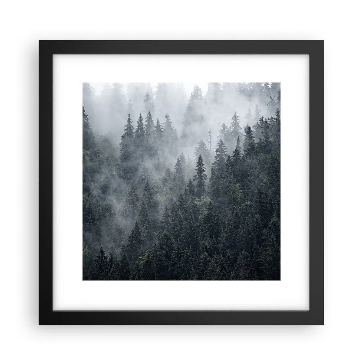 Plakát v černém rámu - Lesní svítání - 30x30 cm