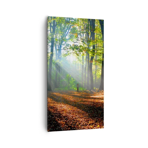 Obraz na plátně - Světla a stíny - 55x100 cm