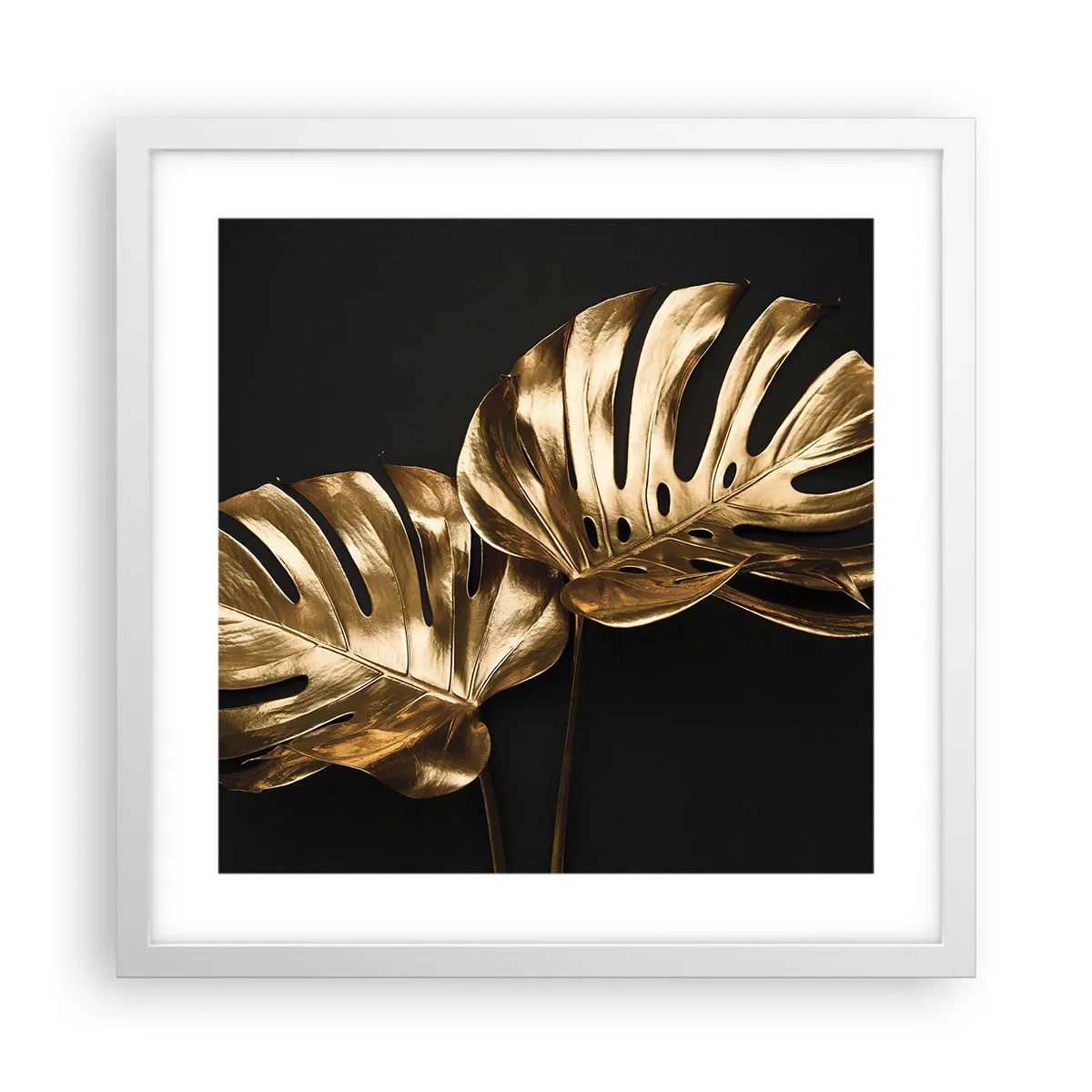 Plakát v bílém rámu - Poklady přírody - 40x40 cm