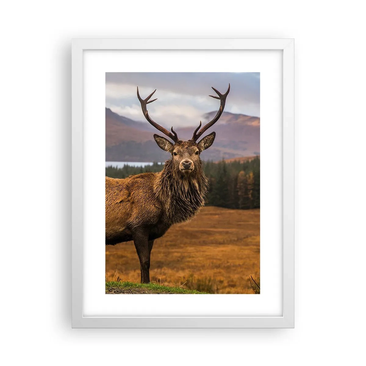 Plakát v bílém rámu - Majestát přírody - 30x40 cm