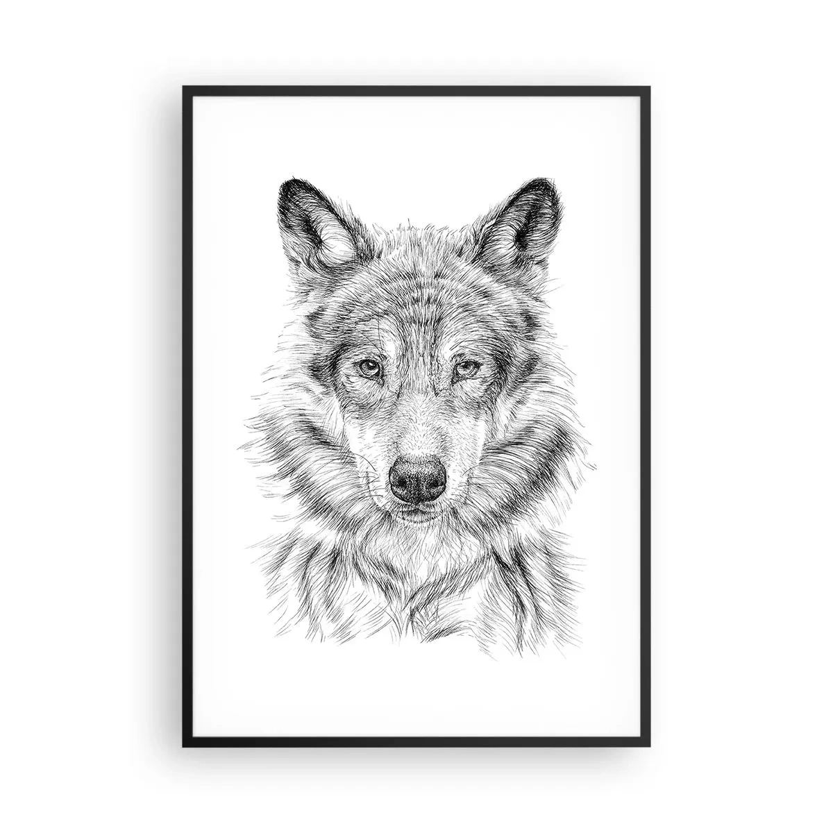 Plakát v černém rámu - Rozený vůdce - 70x100 cm