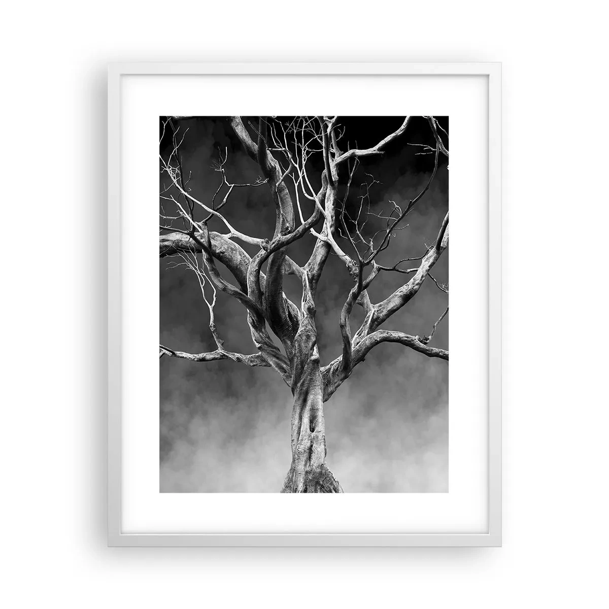 Plakát v bílém rámu - Původní a svaté - 40x50 cm