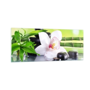 Obraz na skle - Chladná svěžest - 100x40 cm