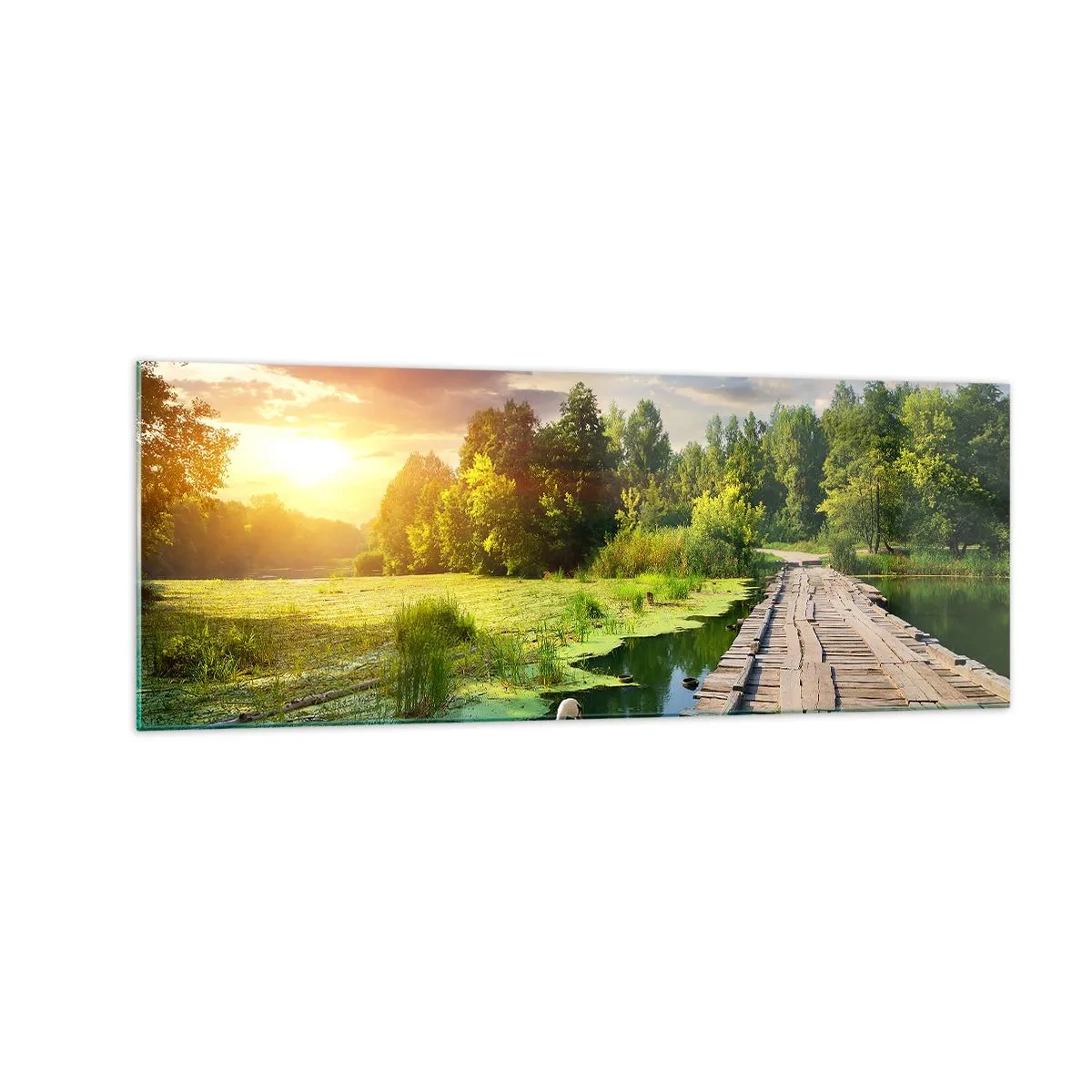 Obraz na skle - Léto, léto všude - 140x50 cm