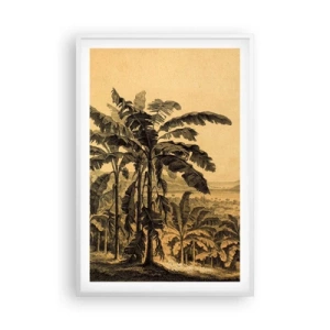Plakát v bílém rámu - V koloniálním stylu - 61x91 cm