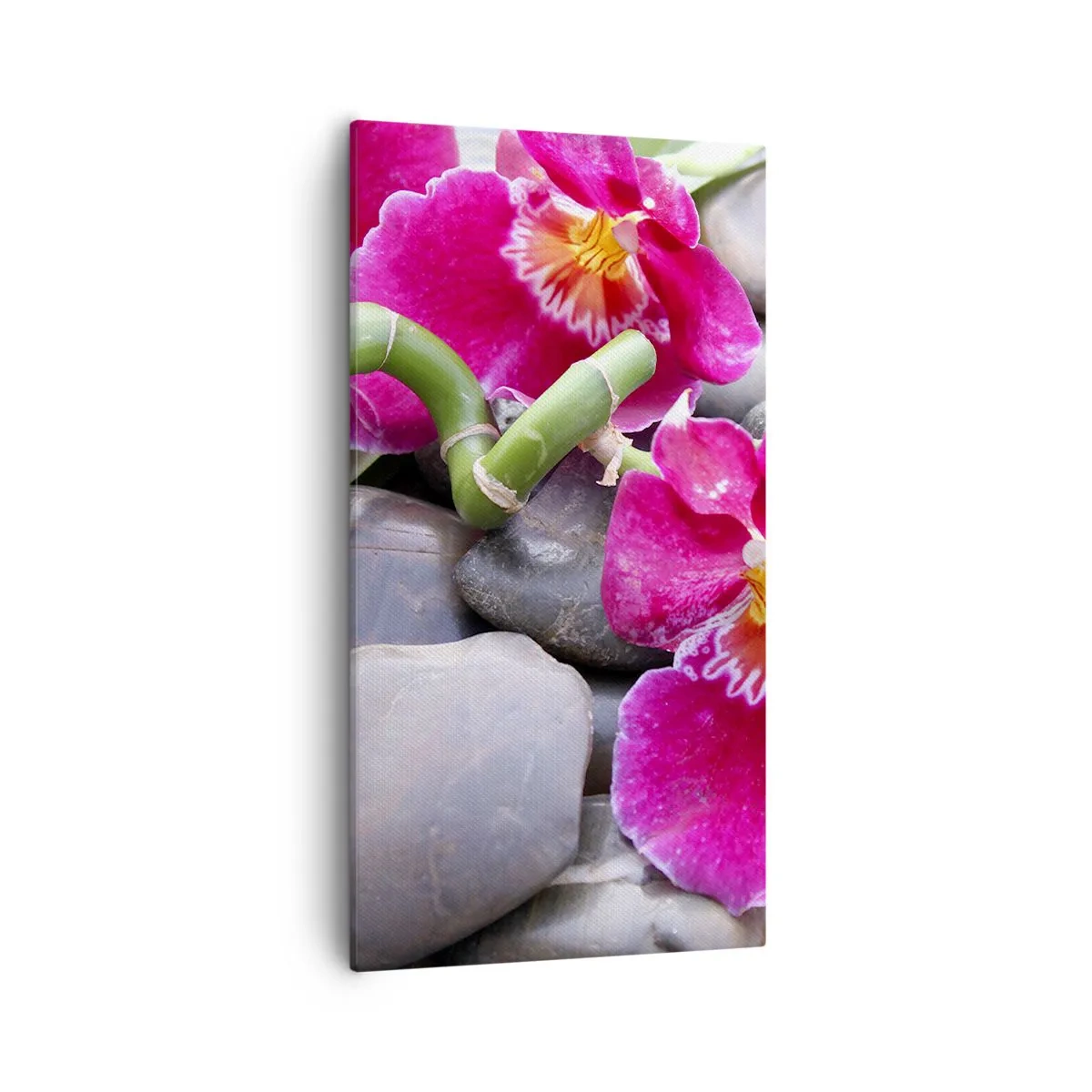 Obraz na plátně - Chlad a žár - 55x100 cm