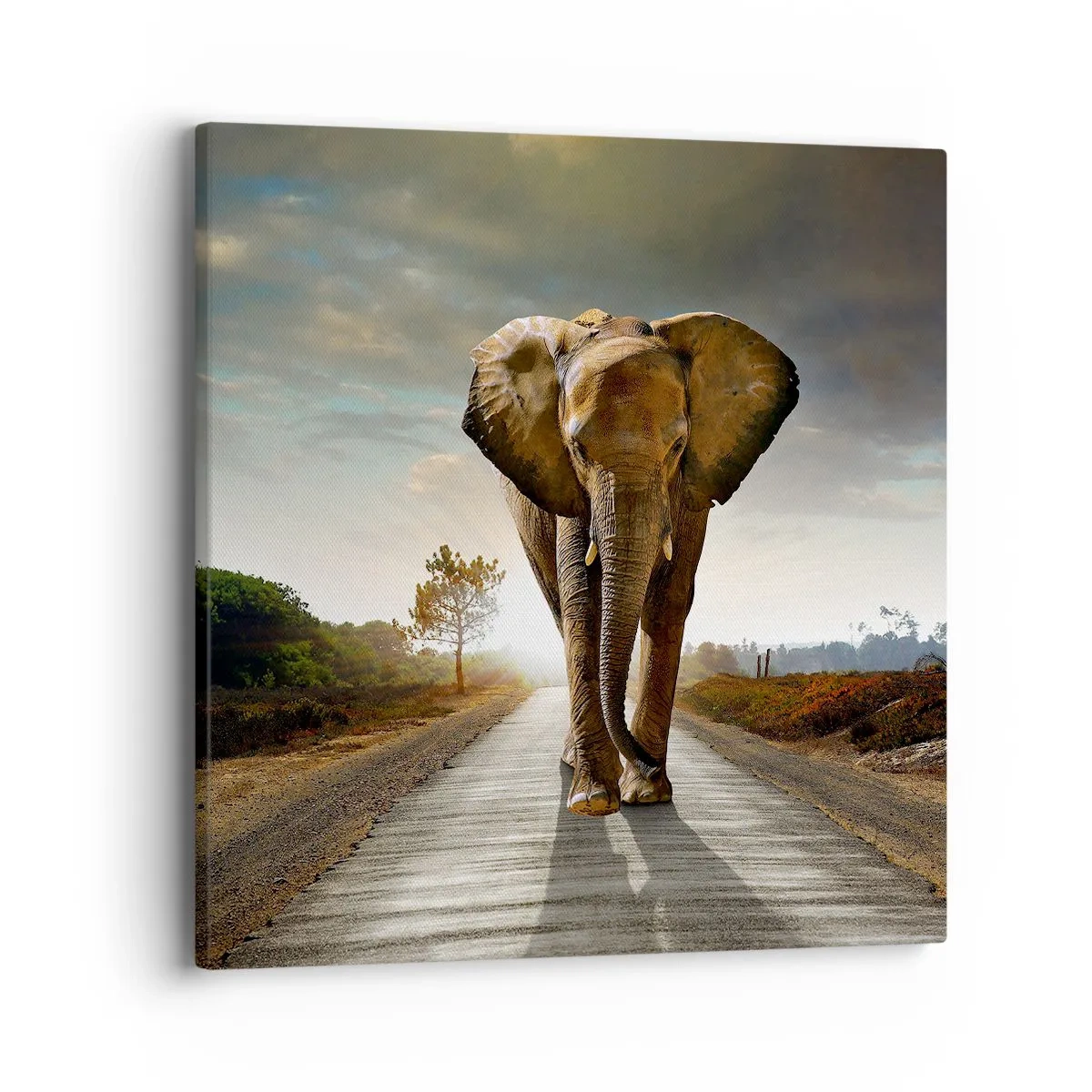 Obraz na plátně - A vůbec ne ve skladu porcelánu - 40x40 cm