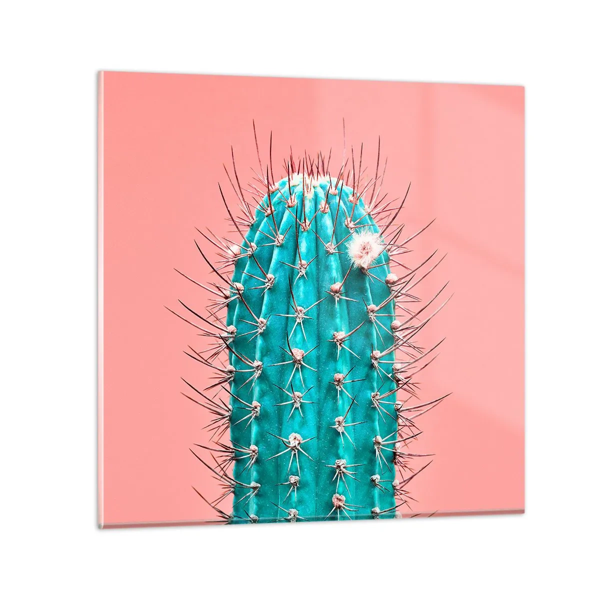 Obraz na skle - Jen koukej - 40x40 cm