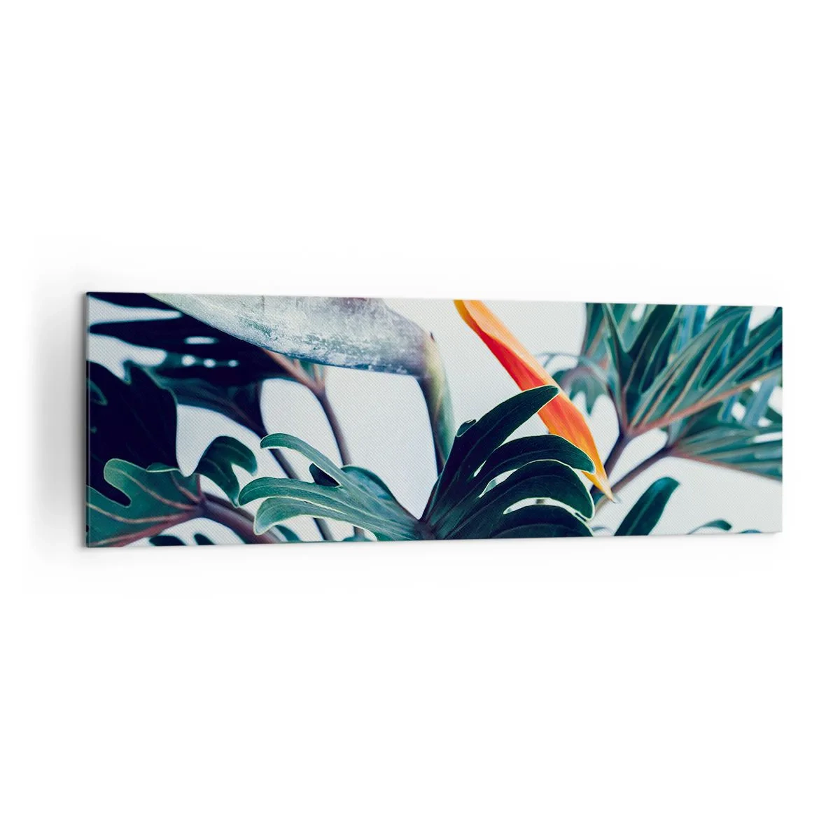 Obraz na plátně - Ptákeř - 160x50 cm