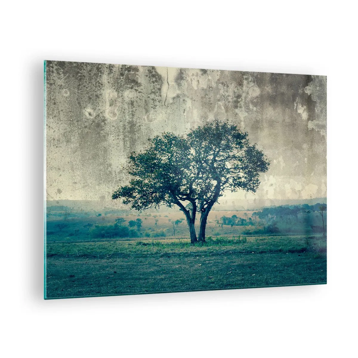 Obraz na skle - Osamělý strom ve vintage krajině - 70x50cm - Jabloň na modrém poli? - Moderní nástěnná dekorace do obývacího pokoje a ložnice ARTTOR