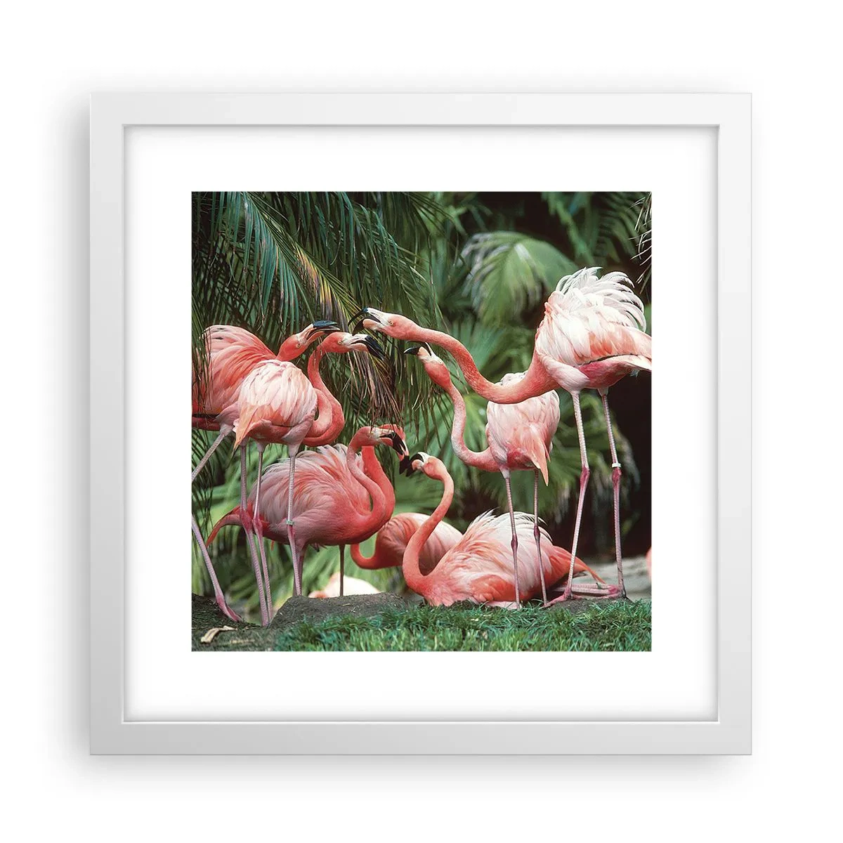 Plakát v bílém rámu - Odpolední drby - 30x30 cm