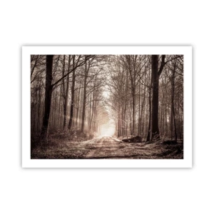 Plakát - Lesní katedrála - 70x50 cm