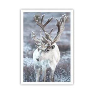 Plakát - Sluneční portrét - 70x100 cm