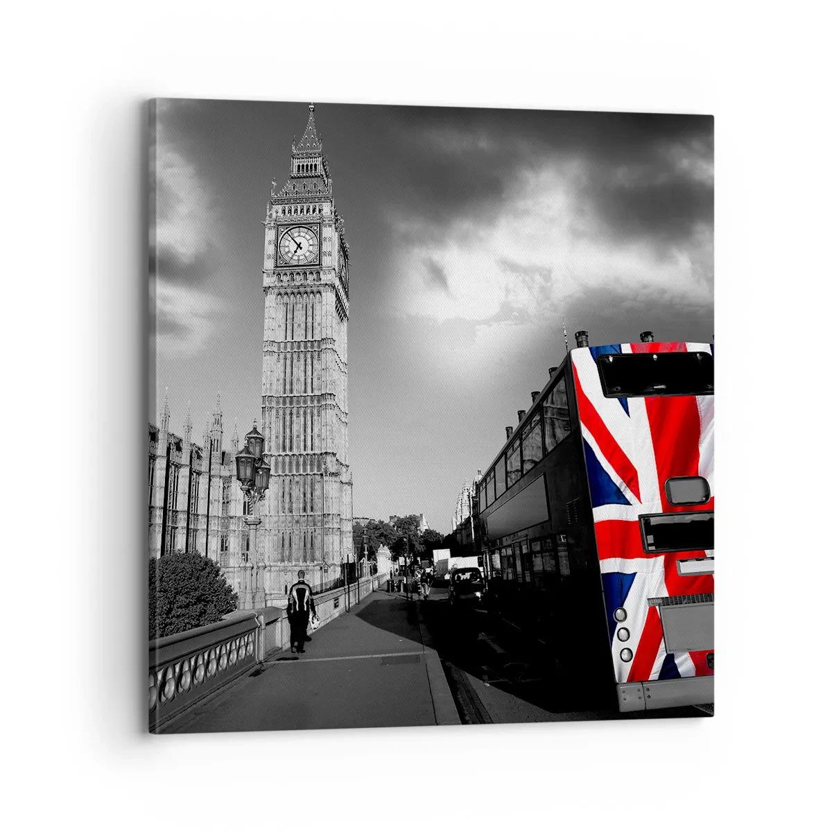 Obraz na plátně - Hrdá a velká - 70x70 cm