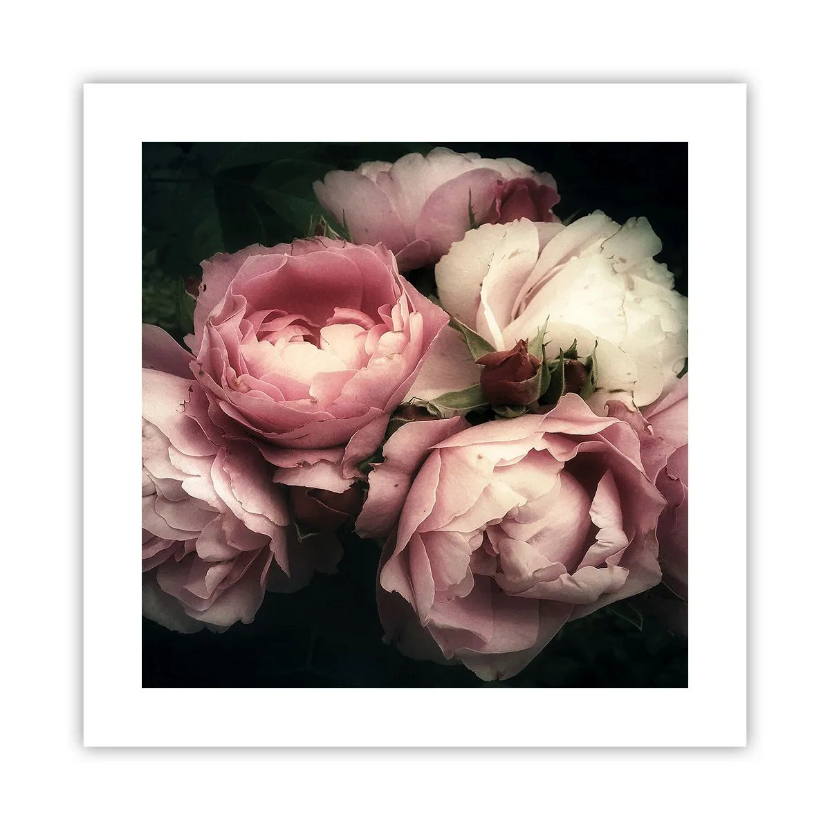 Plakát - Kouzlo belle epoque - 40x40 cm