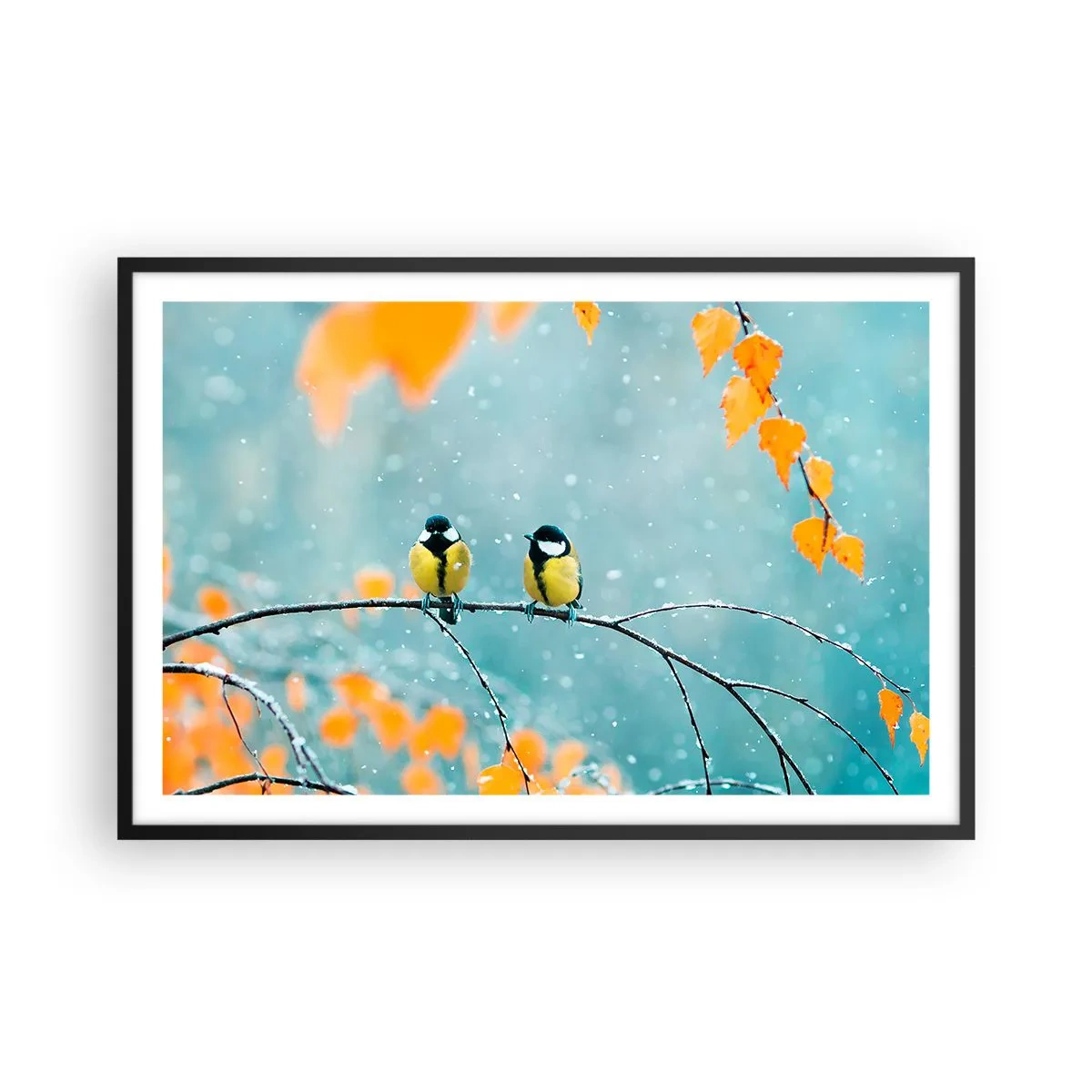 Plakát v černém rámu - Ptačí drby - 91x61 cm