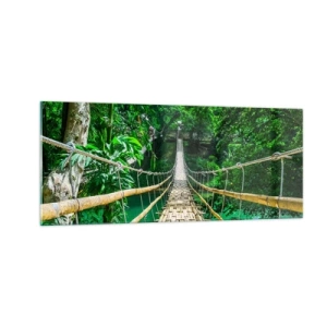 Obraz na skle - Opičí most nad zelení - 100x40 cm