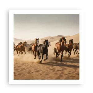 Plakát - Volné jako vítr - 60x60 cm