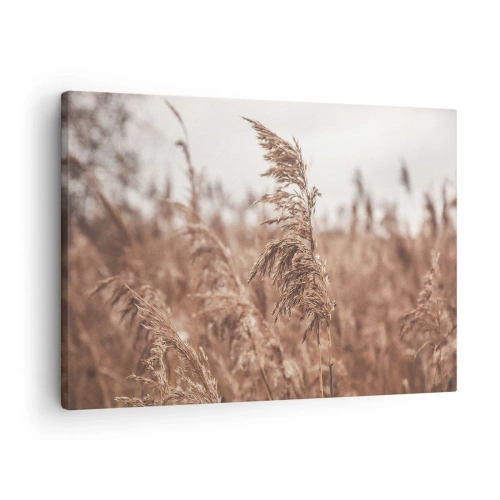 Obraz na plátně - Zlaté trávy na pozadí podzimní krajiny - 70x50cm - Na polích už je podzim - Moderní nástěnná dekorace do obývacího pokoje a ložnice ARTTOR