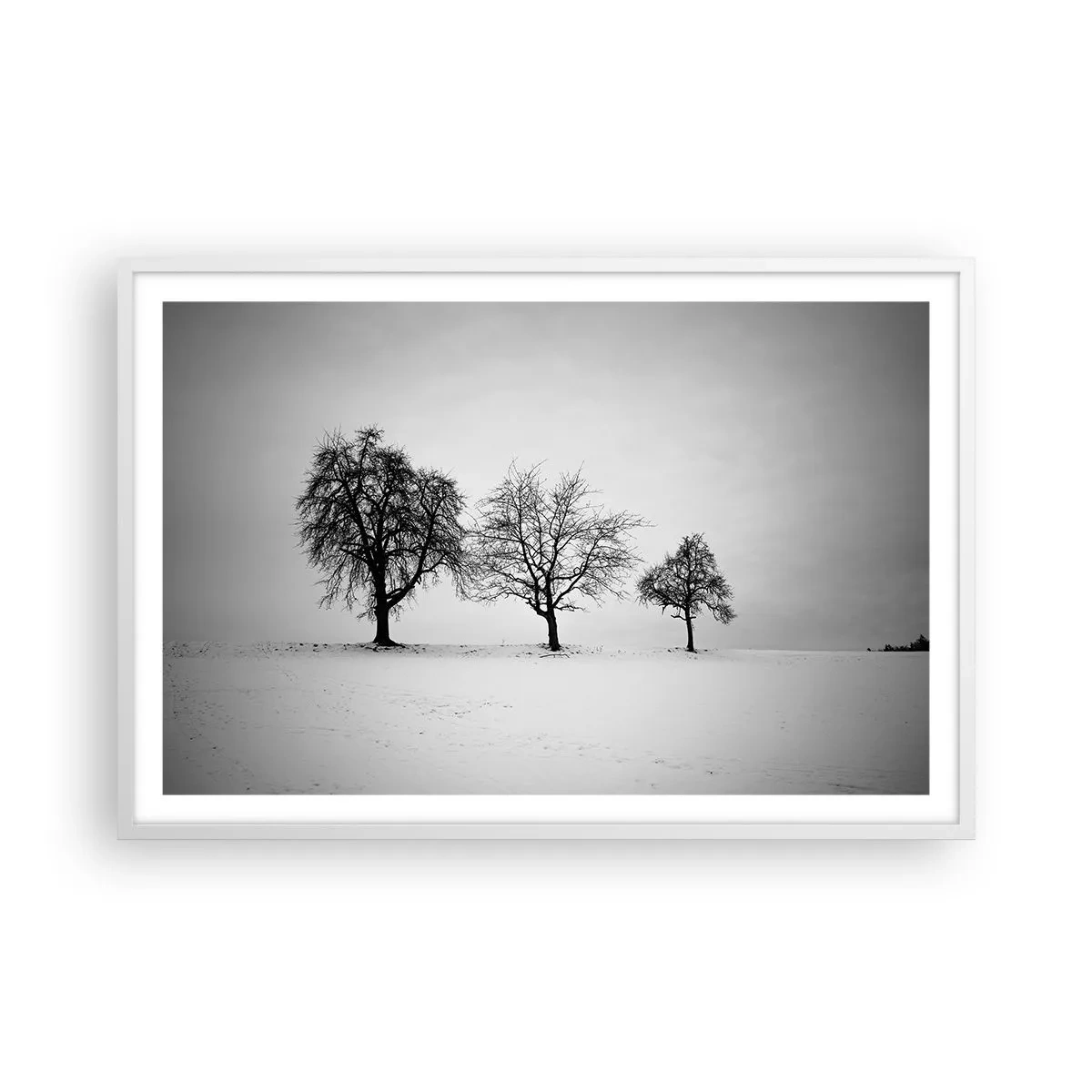 Plakát v bílém rámu - O čem sní? - 91x61 cm