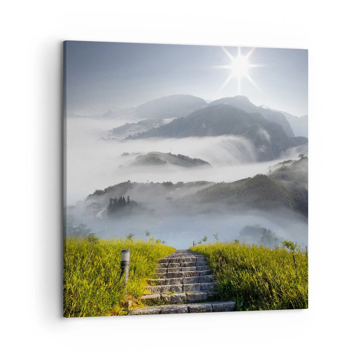 Obraz na plátně - Stále vzhůru do oblak - 50x50 cm