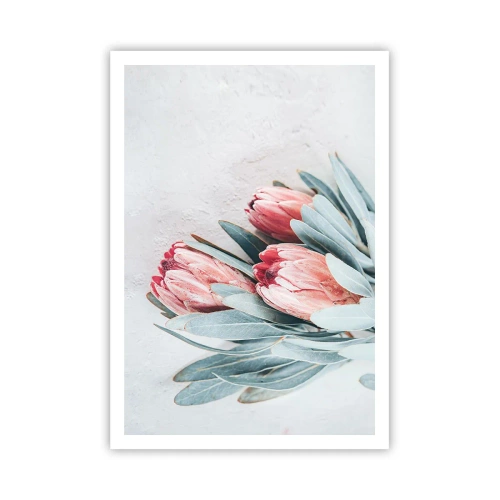 Plakát - Zahanbené svou vlastní krásou - 70x100 cm