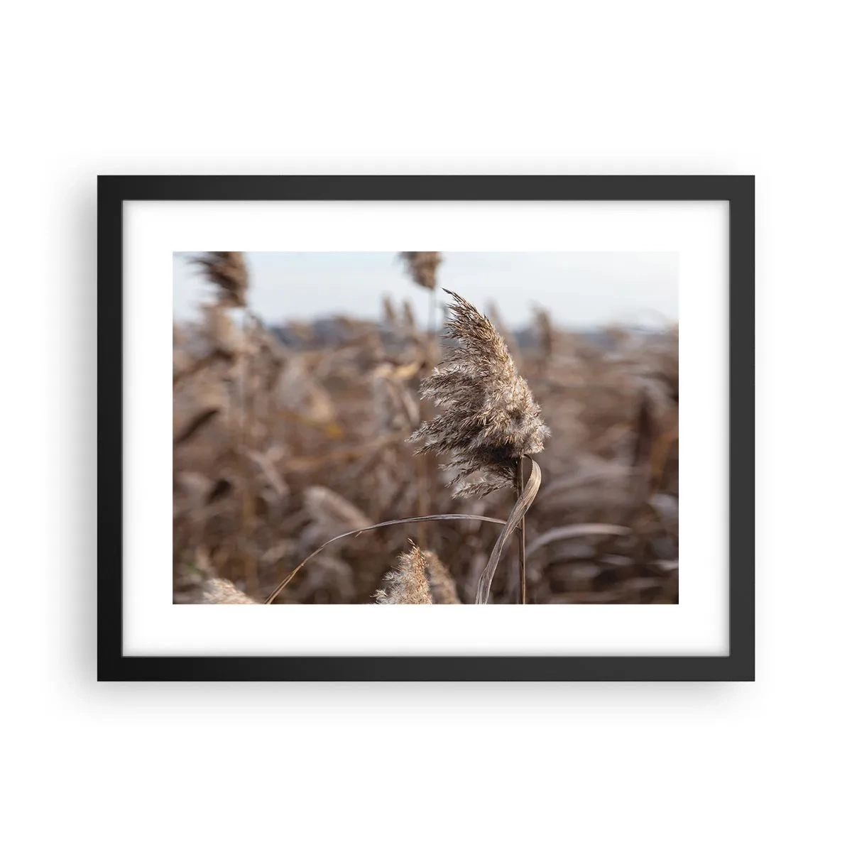 Plakát v černém rámu - Čas odletět s větrem - 40x30 cm