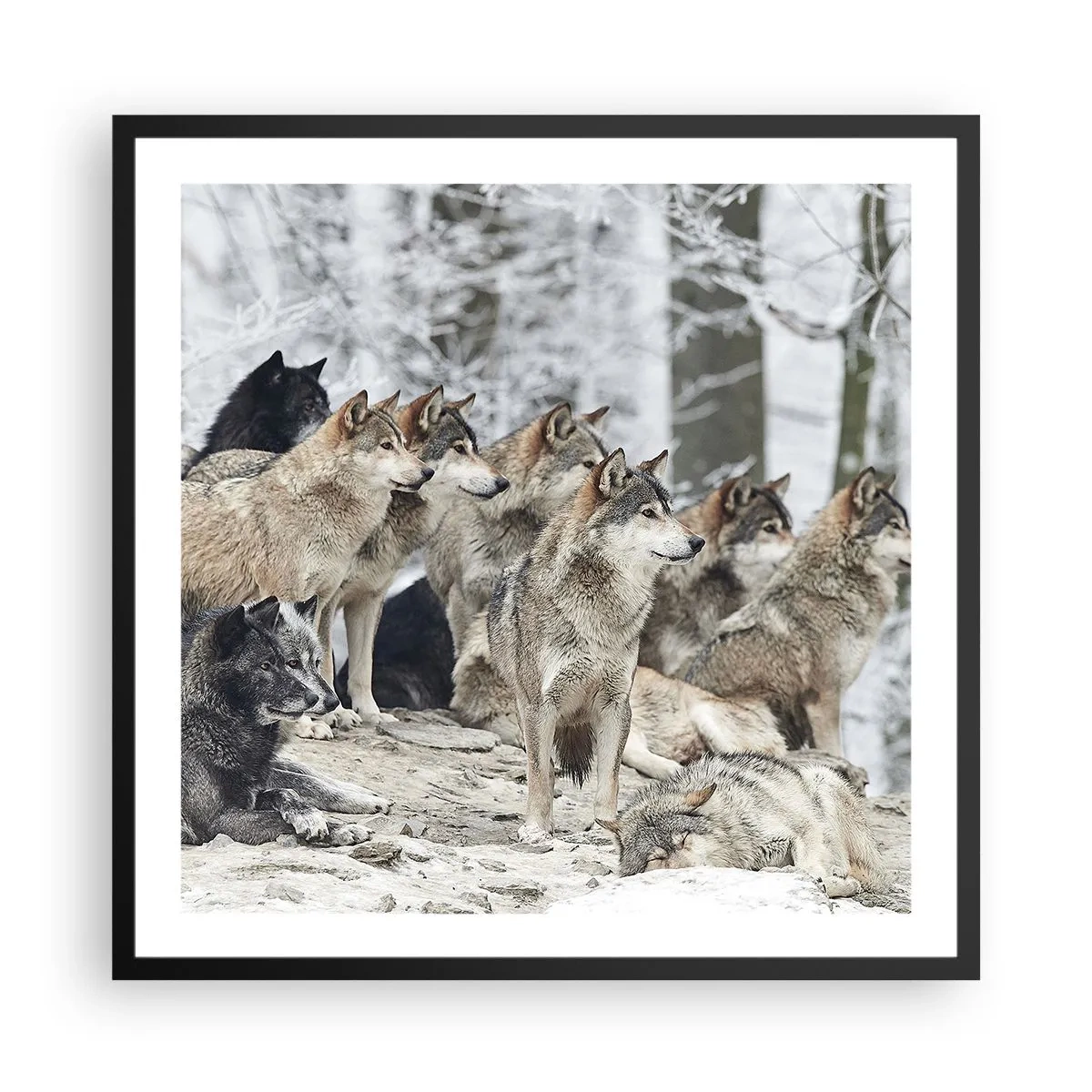 Plakát v černém rámu - Rodina a přátelé - 60x60 cm