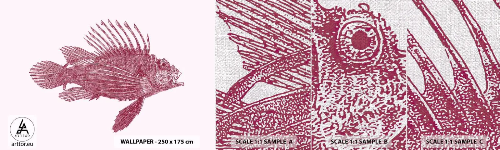 Vzor Fototapety Premium Canvas - Obyvatelka exotických vod - Ryba, Perutýn, Tropický - 100x30 cm