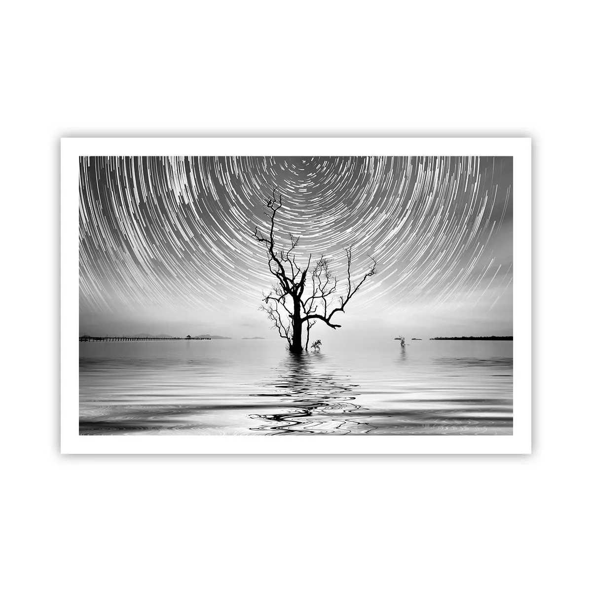 Plakát - Symfonie přírody - 91x61 cm