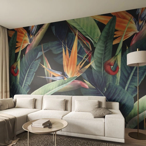 Fototapeta Samolepicí Deluxe Sticker - Plamenné květy tropů - Královská Strelitzia, Květ, Afrika - 150x105 cm