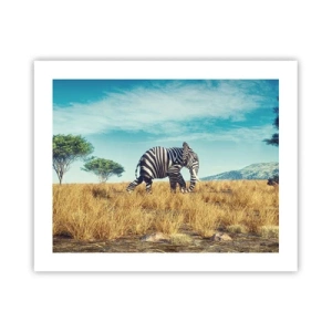 Plakát - Šedá už není v módě - 50x40 cm