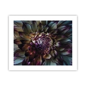 Plakát - Rozkvět mládí - 50x40 cm