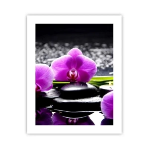 Plakát - Utonout v tichu a klidu - 40x50 cm