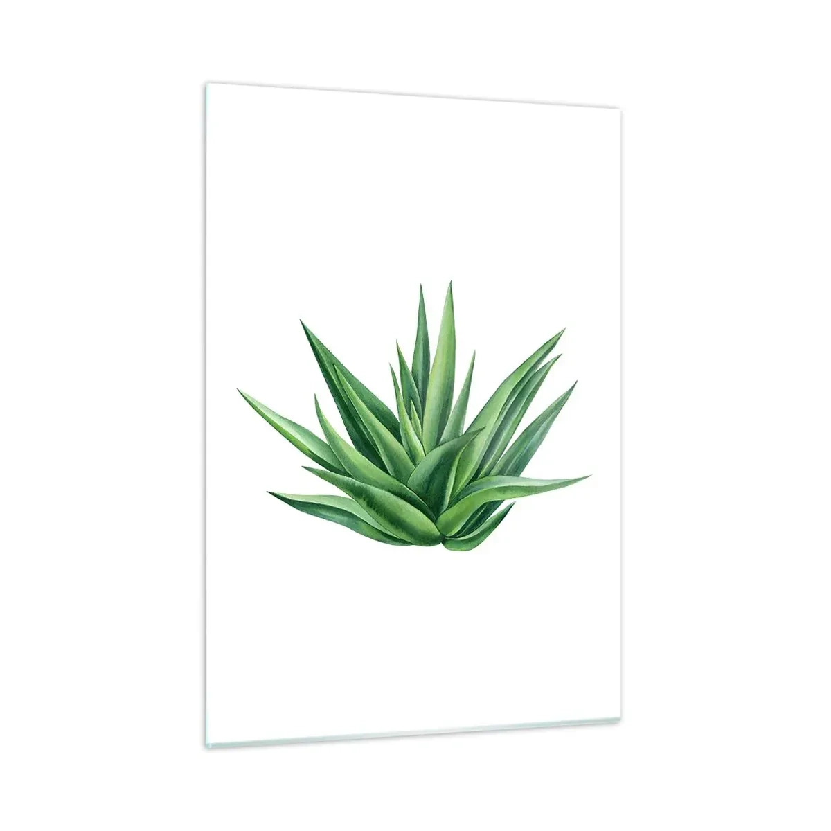 Obraz na skle - Zelená – síla – život - 50x70 cm